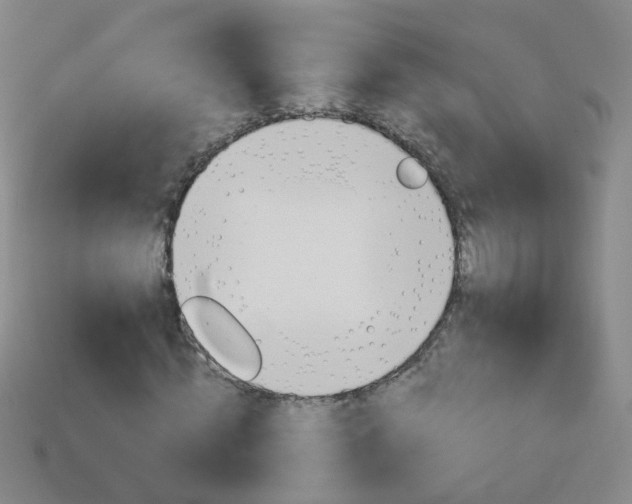 X0000114160820200910081132