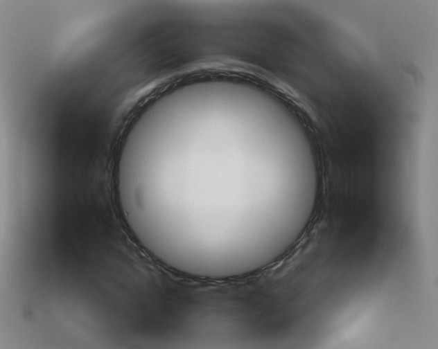 X0000114160822200910081132