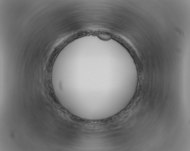 X0000114160823200910081132
