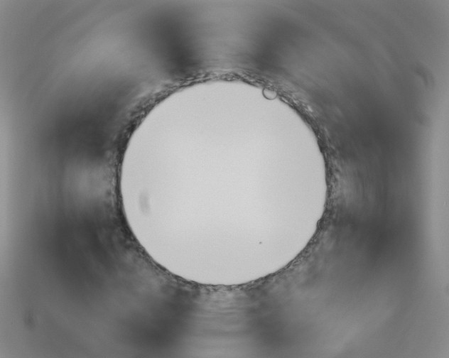 X0000114160824200910081132