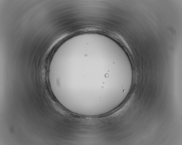 X0000114160827200910081132