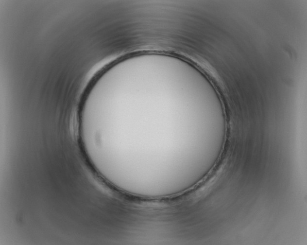 X0000114160838200910081132