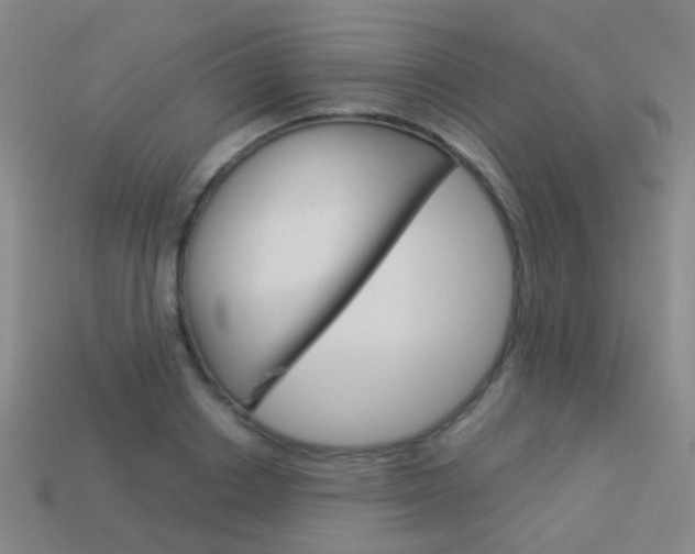 X0000114160842200910081132