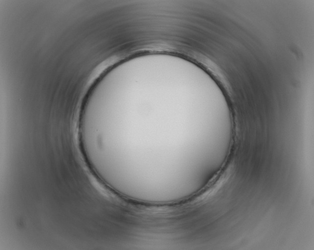 X0000114160845200910081132