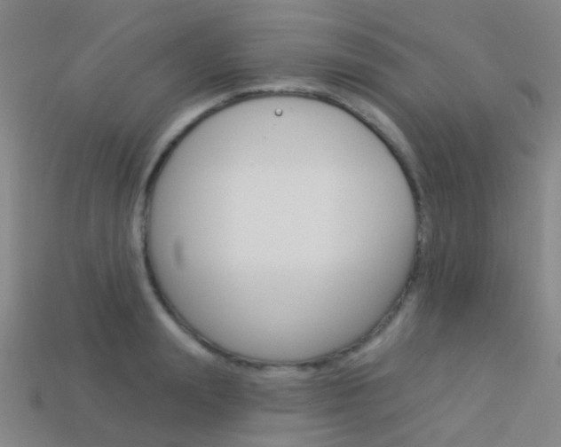 X0000114160847200910081132
