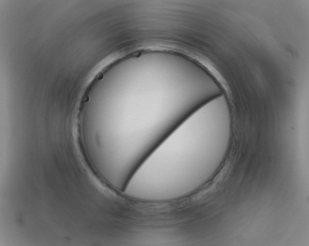 X0000114160853200910081132