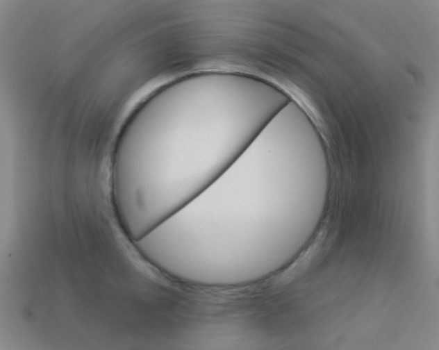 X0000114160854200910081132