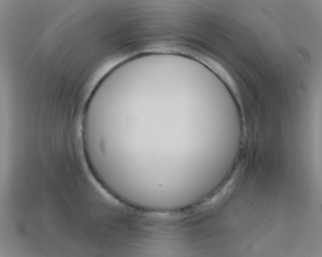 X0000114160855200910081132