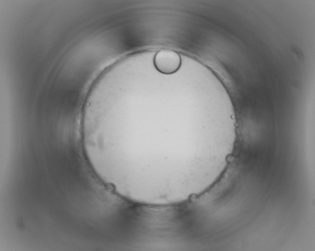 X0000114160856200910081132