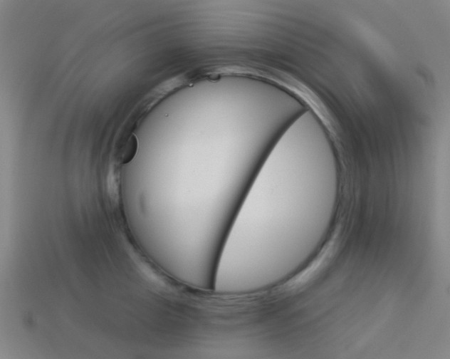 X0000114160857200910081132
