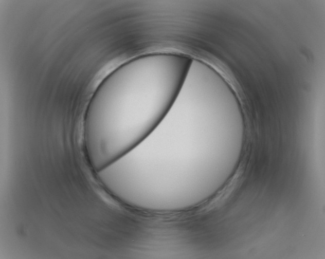 X0000114160858200910081132