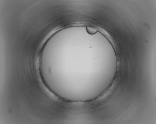X0000114160859200910081132