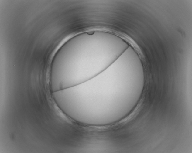 X0000114160860200910081132