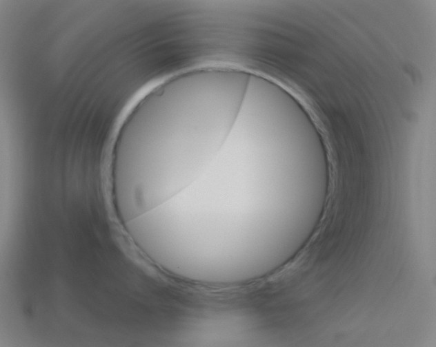 X0000114160864200910081132