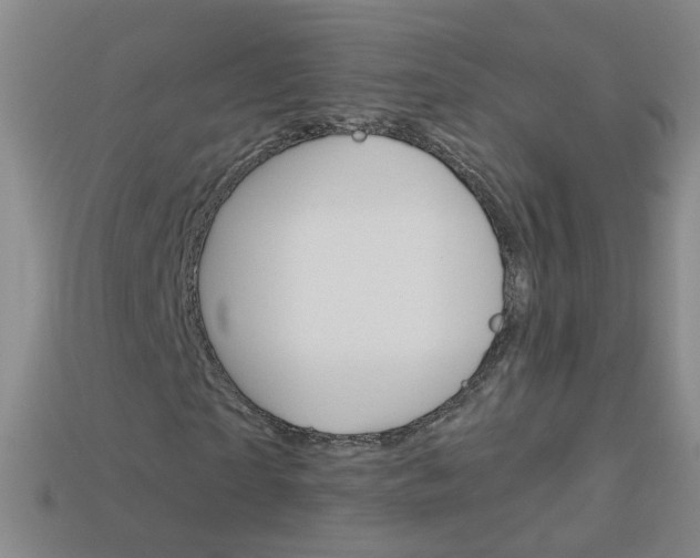 X0000114160865200910081131