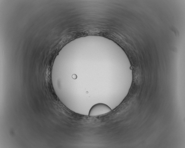 X0000114160866200910081131