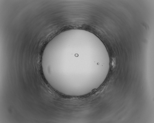 X0000114160867200910081131