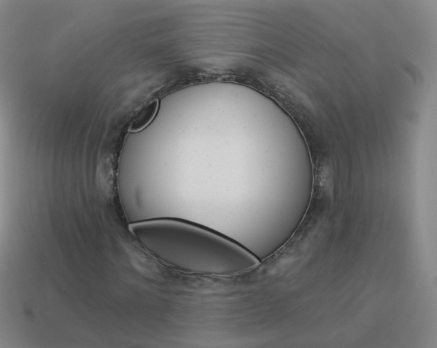 X0000114160868200910081131