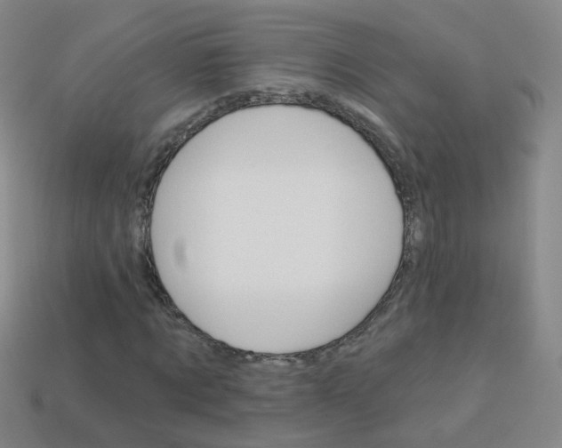 X0000114160869200910081131
