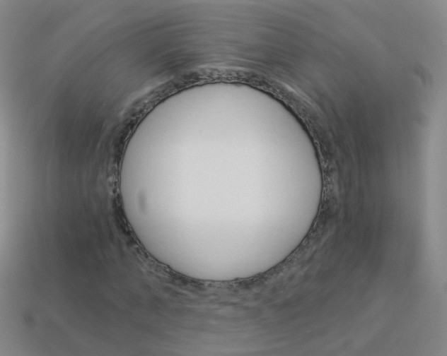 X0000114160870200910081131
