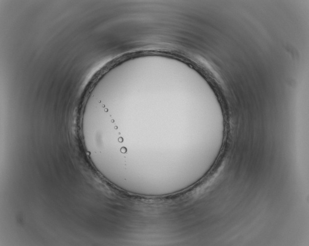X0000114160875200910081131