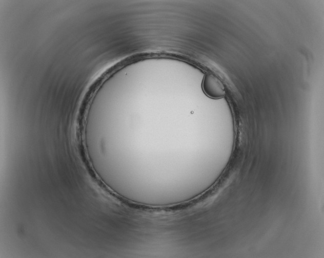 X0000114160876200910081131