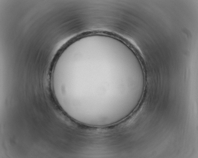 X0000114160879200910081131