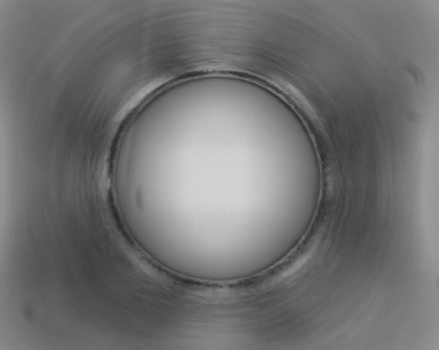 X0000114160885200910081131