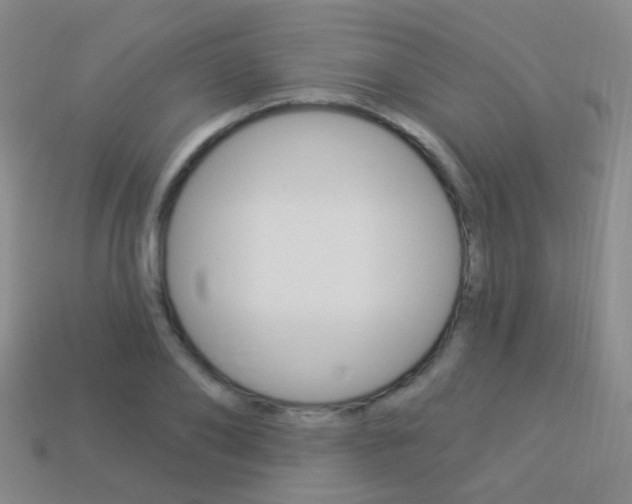 X0000114160886200910081131