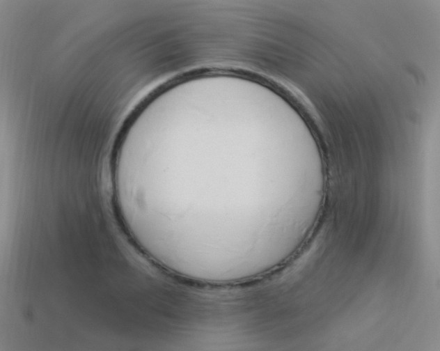 X0000114160887200910081131