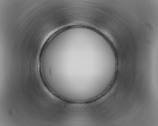 X0000114160888200910081131