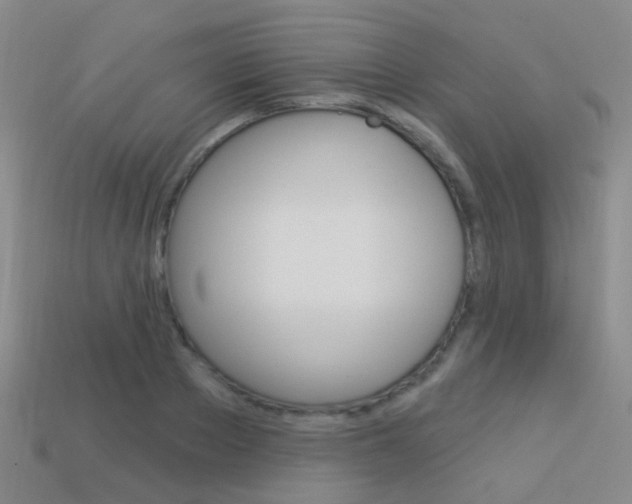 X0000114160889200910081131