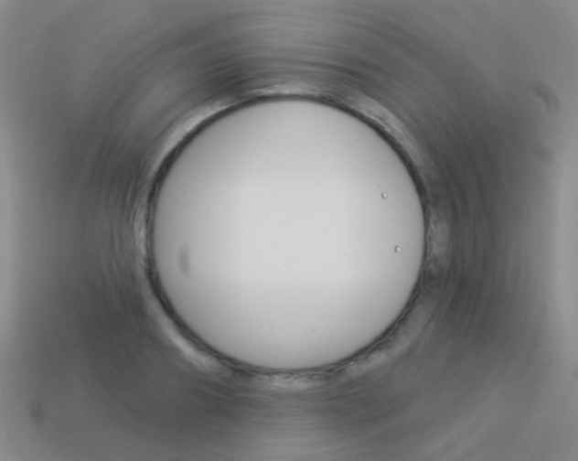 X0000114160890200910081131