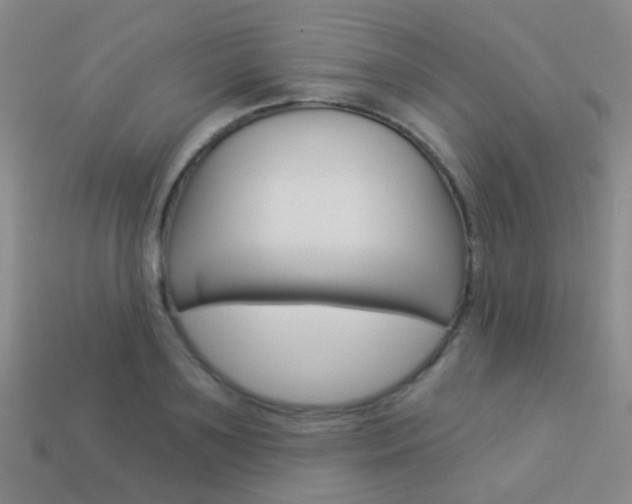 X0000114160891200910081131