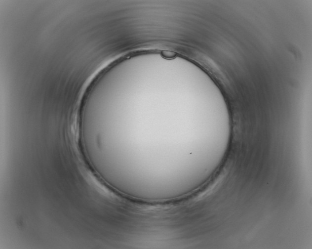 X0000114160892200910081131