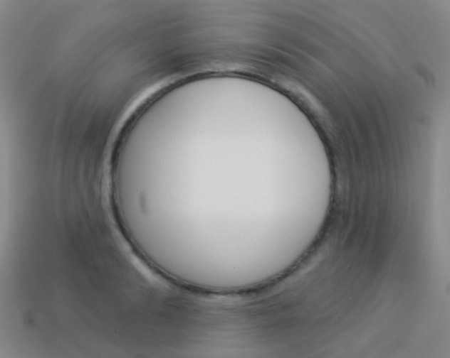 X0000114160894200910081131