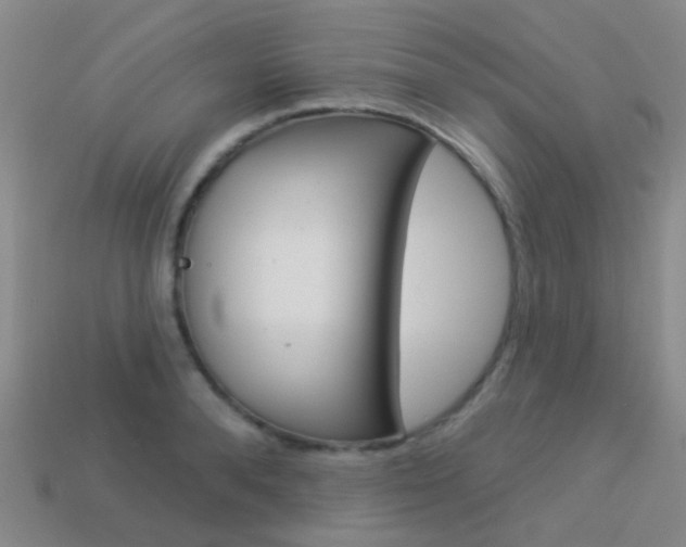 X0000114160896200910081131