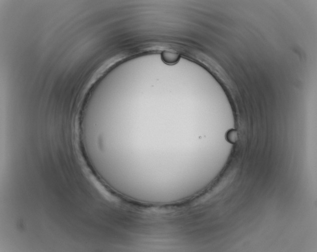 X0000114160898200910081131
