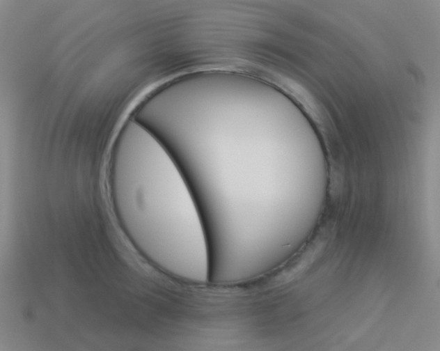 X0000114160899200910081131