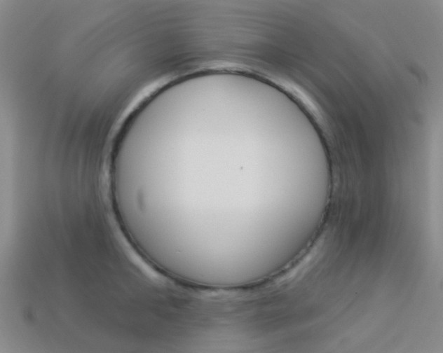 X0000114160902200910081131
