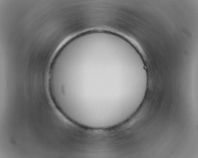 X0000114160903200910081131
