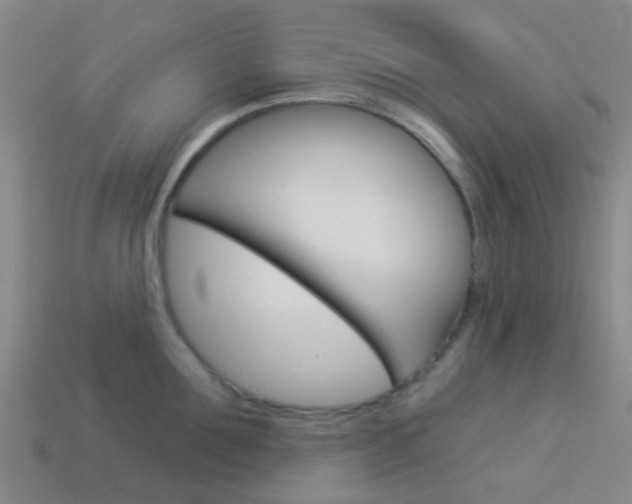 X0000114160907200910081131