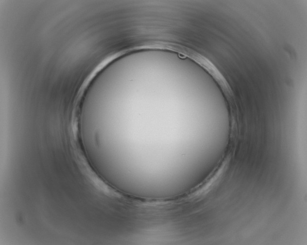 X0000114160908200910081131