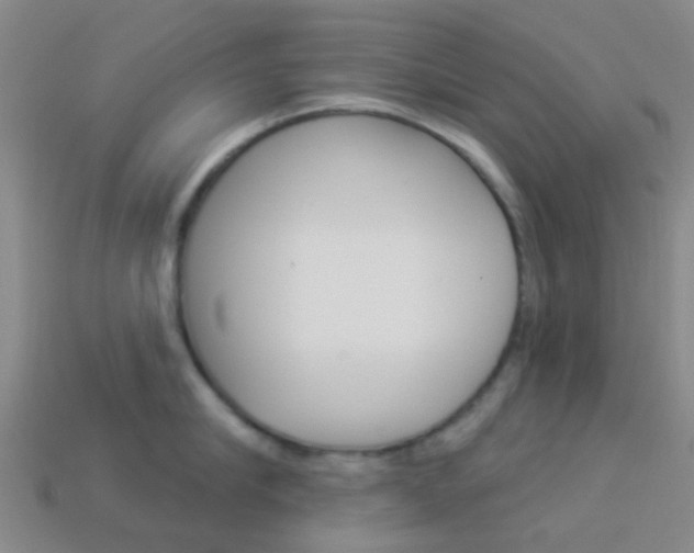 X0000114160910200910081131