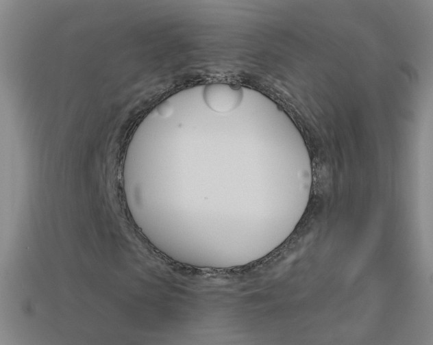 X0000114160913200910081130