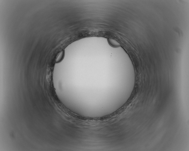 X0000114160914200910081130