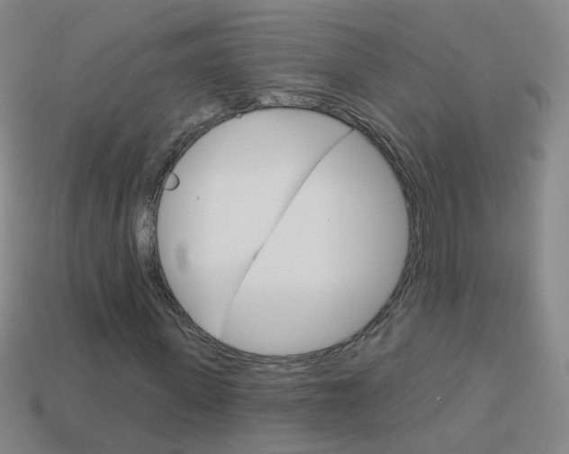 X0000114160915200910081130