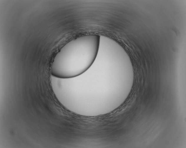X0000114160916200910081130