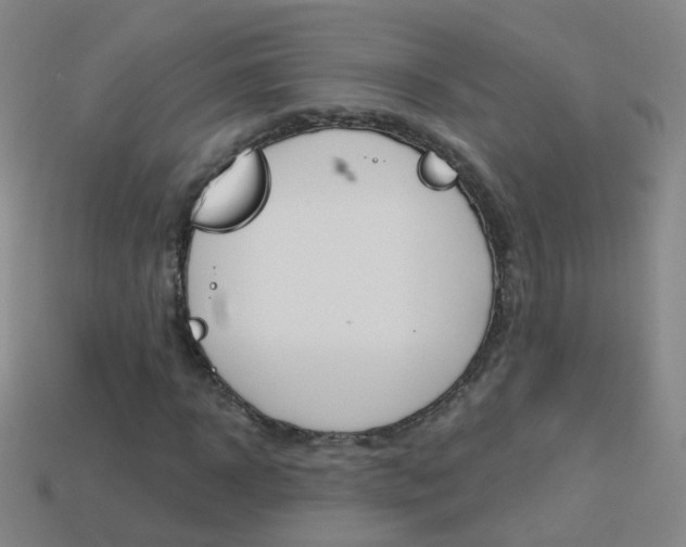 X0000114160918200910081130
