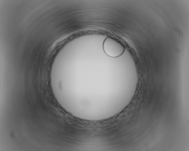 X0000114160920200910081130